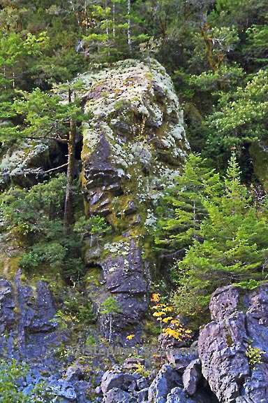 smith river lichen rock graphic